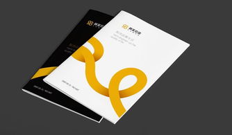 VI设计流程与项目策划及公关服务的融合